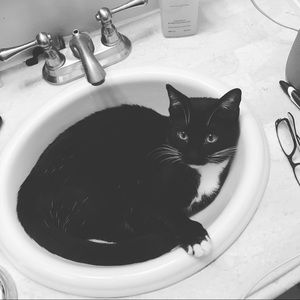 Meet your Posher, Laura